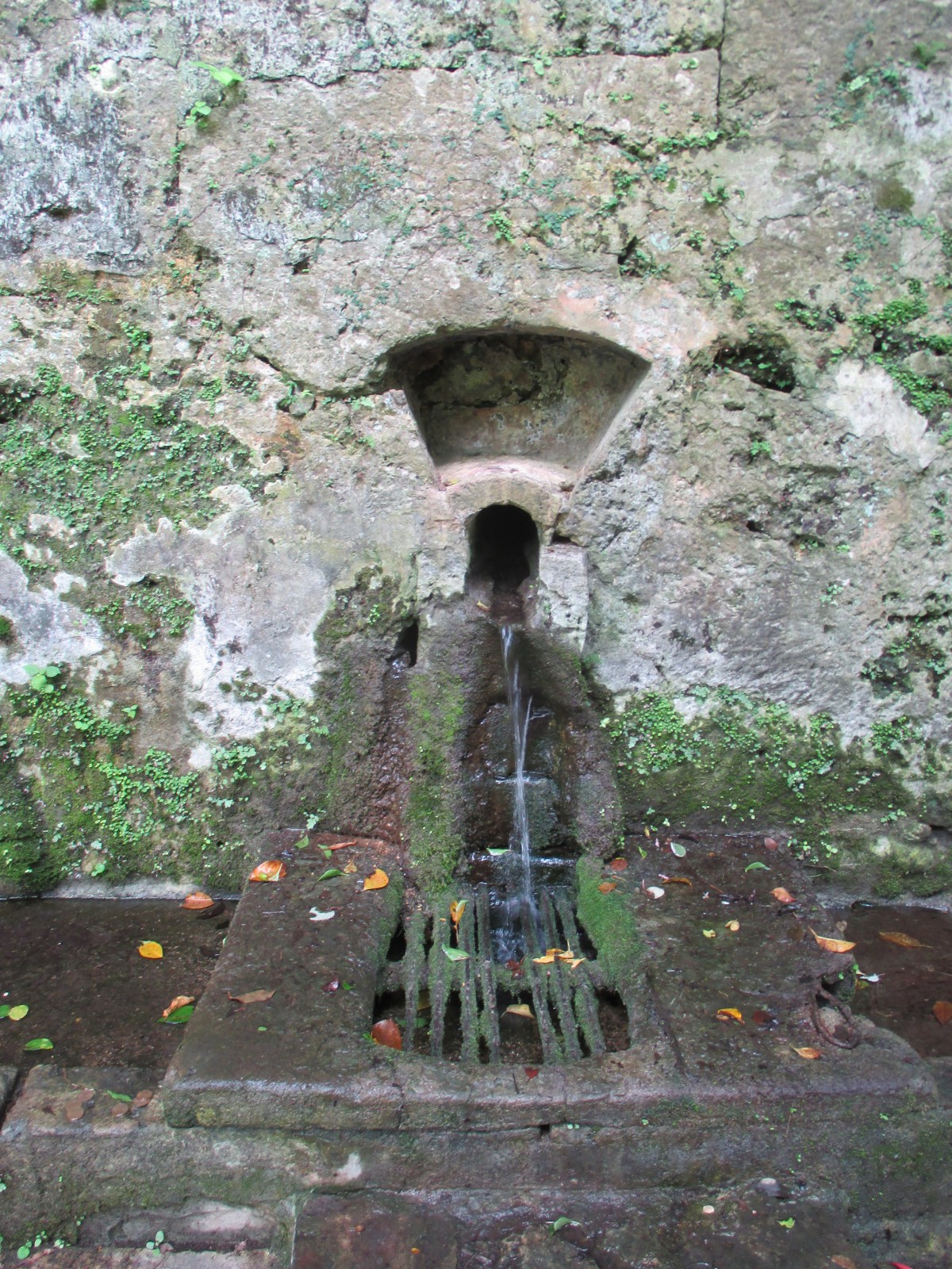 湧き口を囲む石積