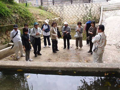 湧き水めぐり３