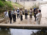 湧き水めぐり３