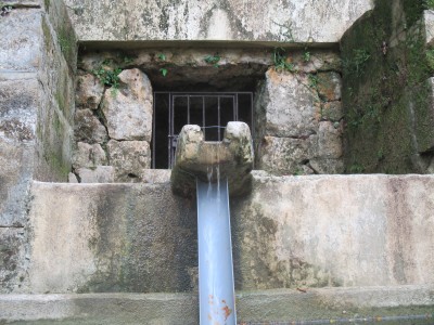 水の復活を確認した記録