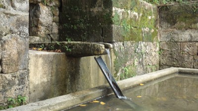 水の復活を確認して一ヶ月後