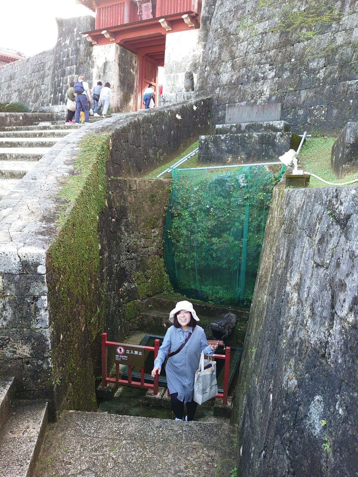 やっと龍樋に会えた！