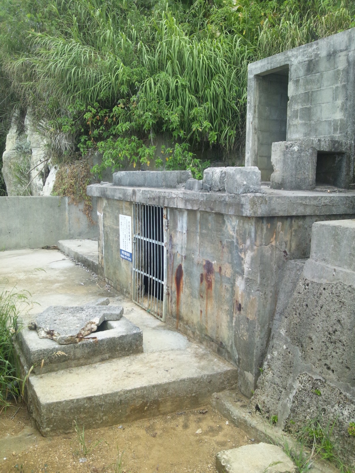 全景（柵あり）