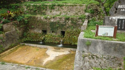 ヤンガー 　全景