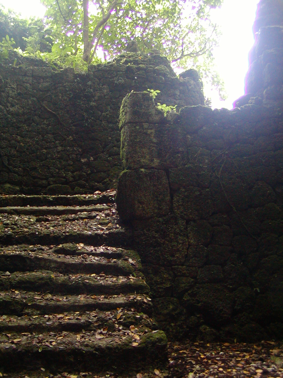 湧き水からの視線