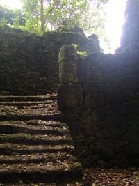 湧き水からの視線