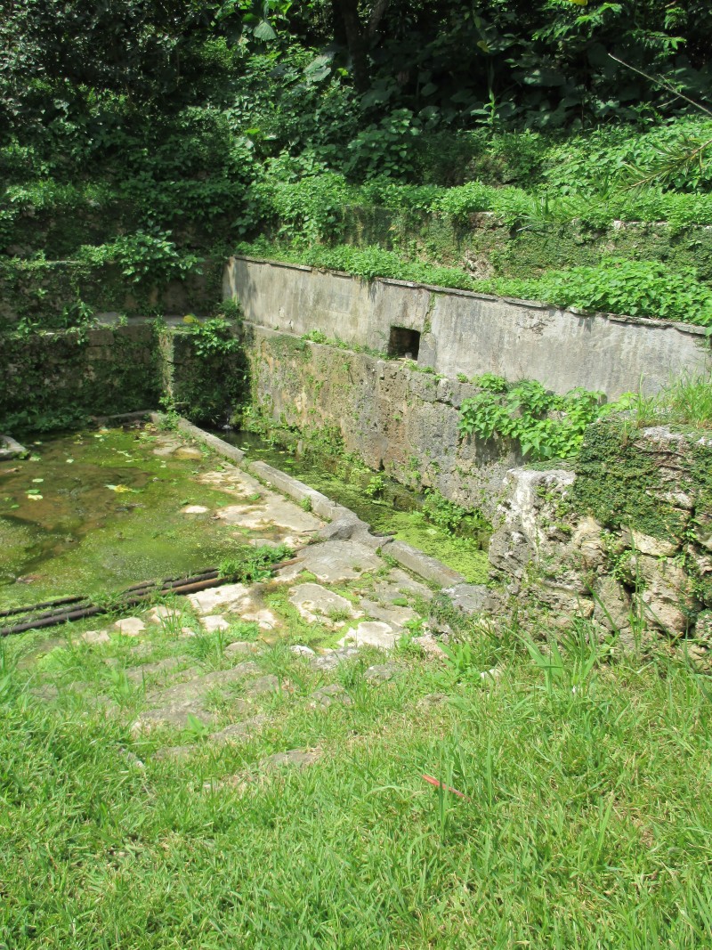 全景（右側から）