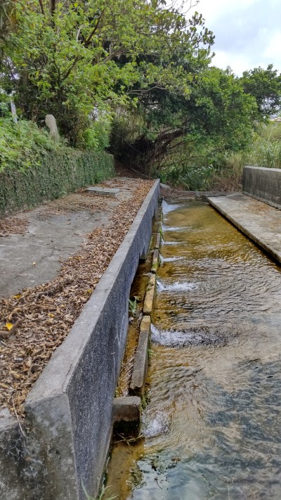 ヒャーカーガーその4