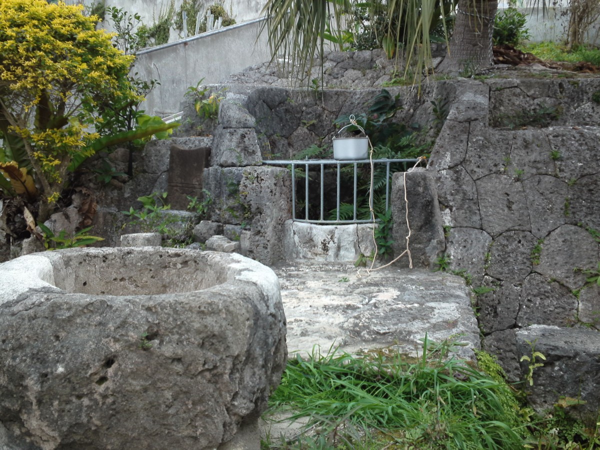 大名ヒージャーガー