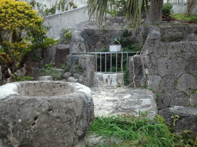 大名ヒージャーガー