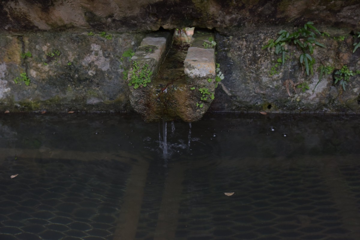 ヒージャーガー(荻道）