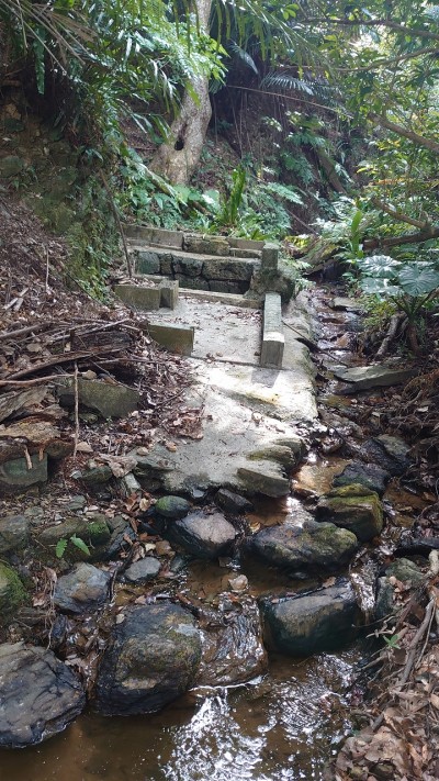 慶佐次ムラガー