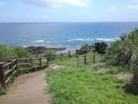 海岸沿いへ下りる道