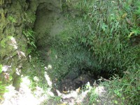 階段の先に湧水がみえる