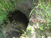 岩の奥から湧いている水