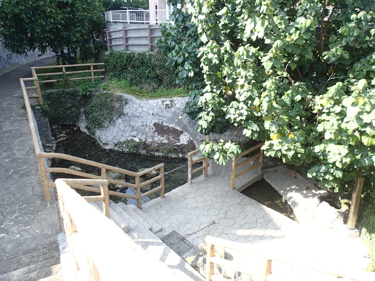 全景（せせらぎ公園最上流）