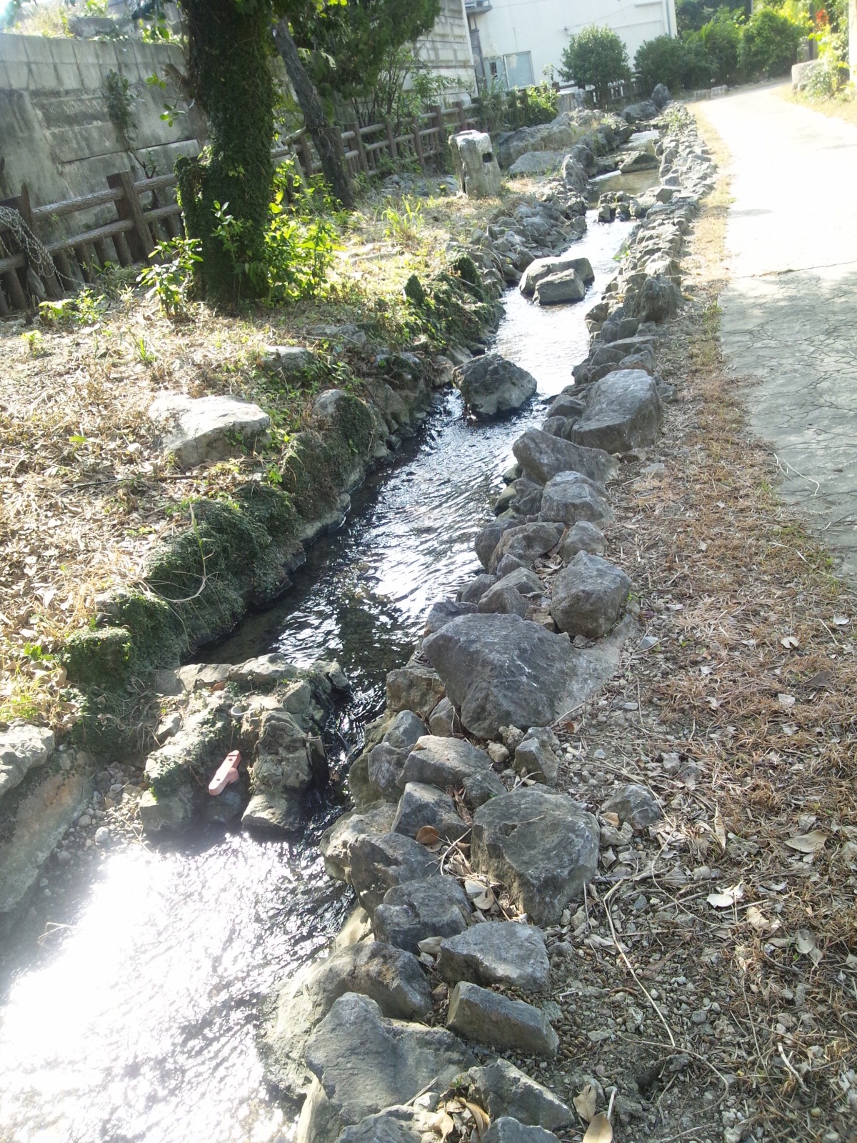 下流2（せせらぎ公園）