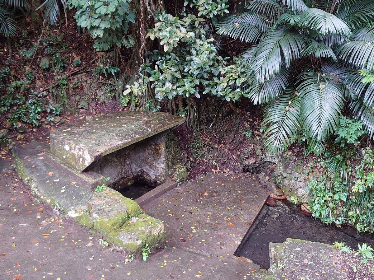 カーの右に写っているクロツグは聖地の象徴