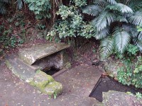 カーの右に写っているクロツグは聖地の象徴