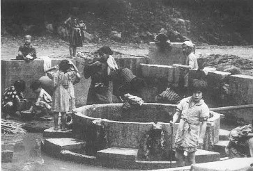 タームの茎を洗う様子（左奥、終戦直後）