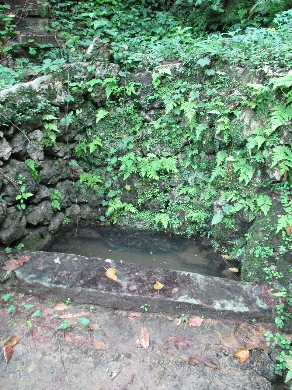 山田メーガー全景