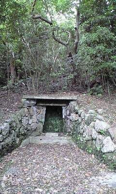 テラノコシノロガー