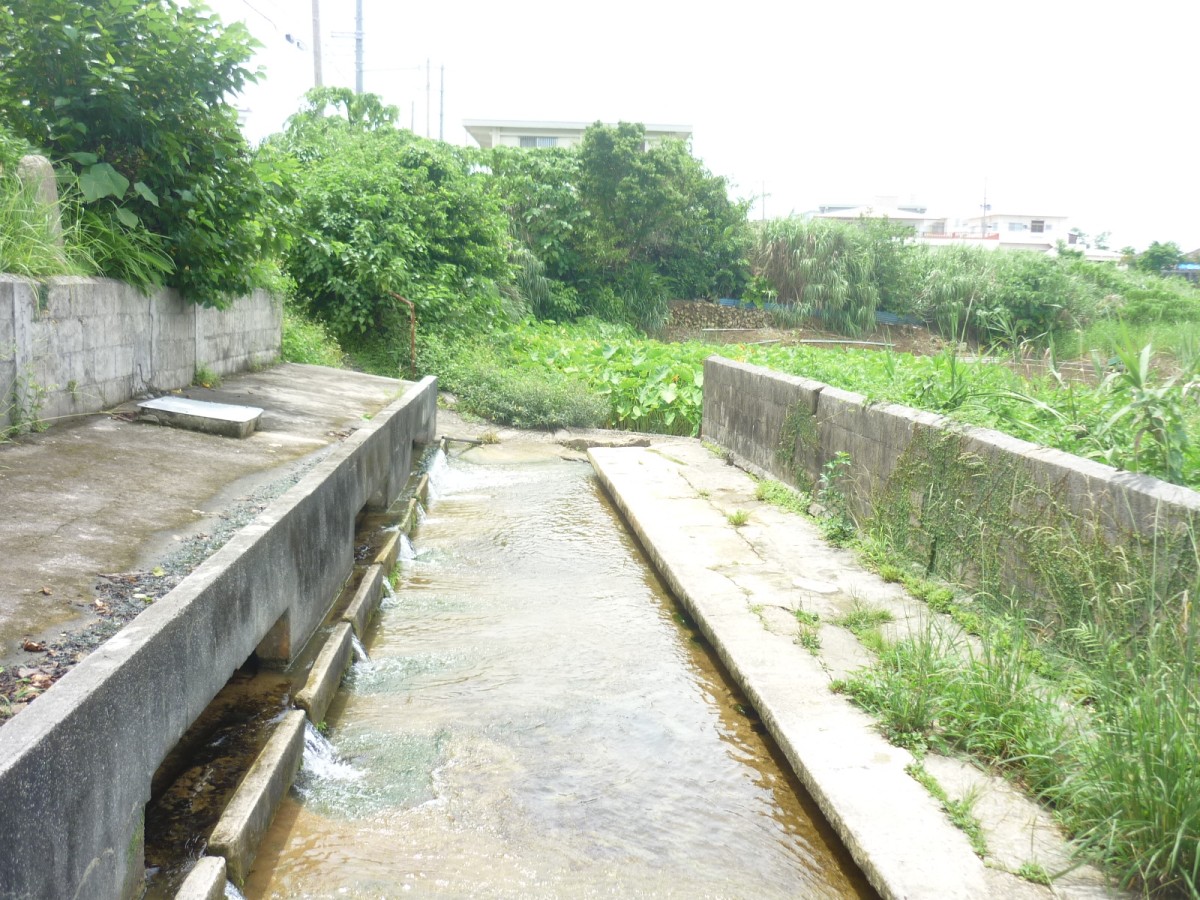 宜野湾市 ヒャーカーガー