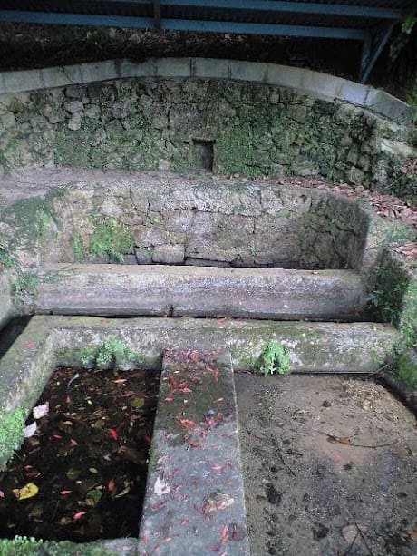 屋良シリーガー