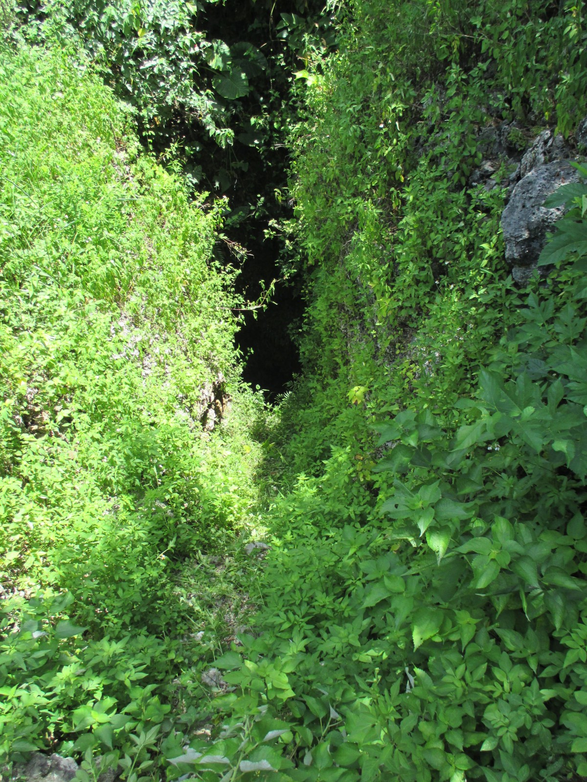 真謝井の入り口